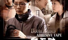 电视剧双面胶全集在线观看,情感纠葛与命运抉择的悲喜人生